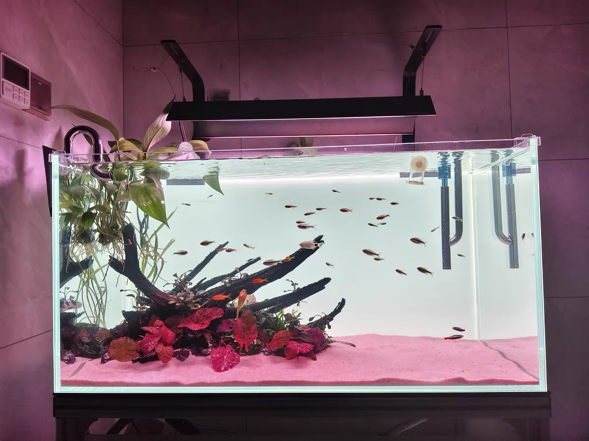 خلفية حوض السمك من الأكريليك ب - مراجعة Aquarium Fish Colour وسعره