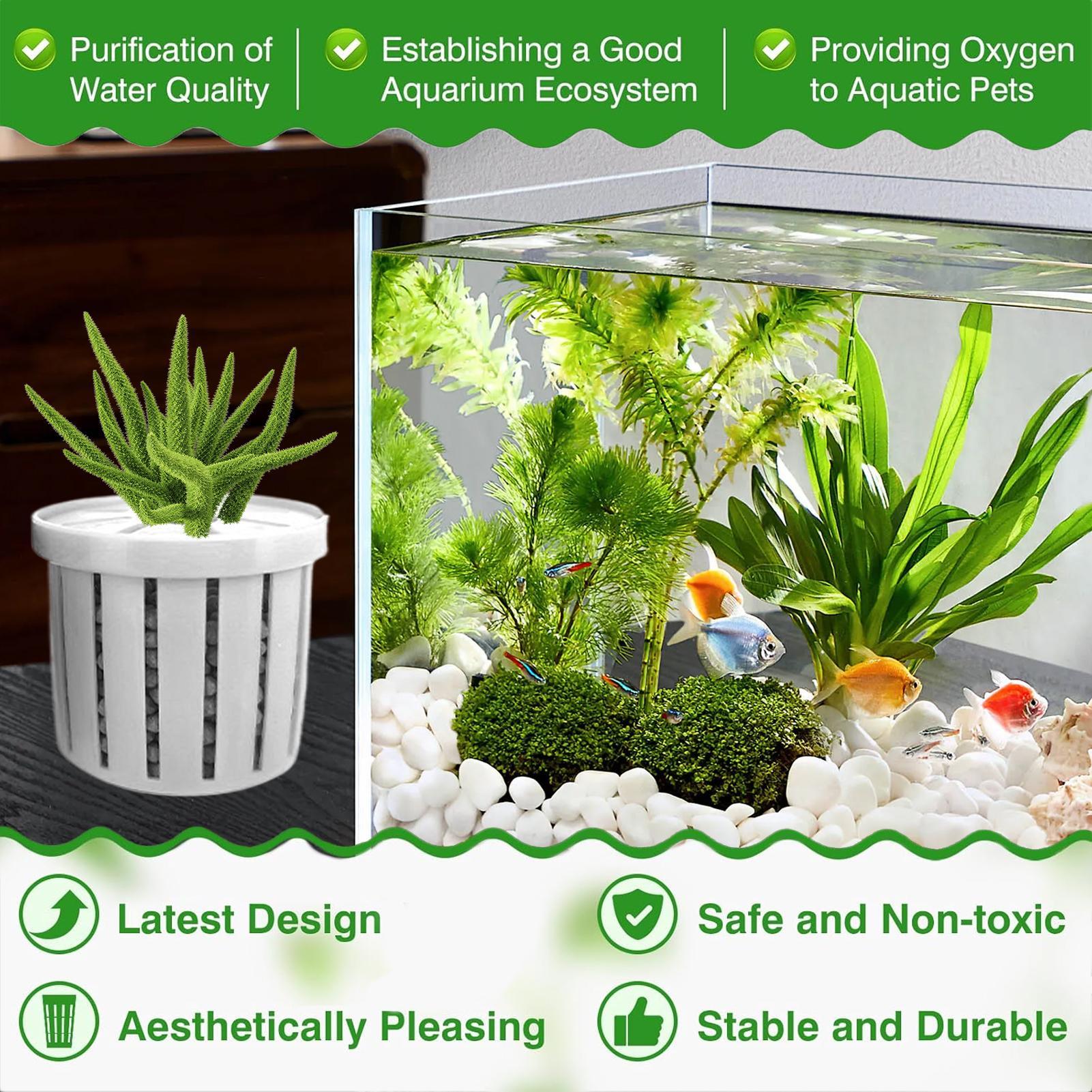 4 قطع من أواني الزراعة المائية - مراجعة Aquarium Fish Pot وسعره