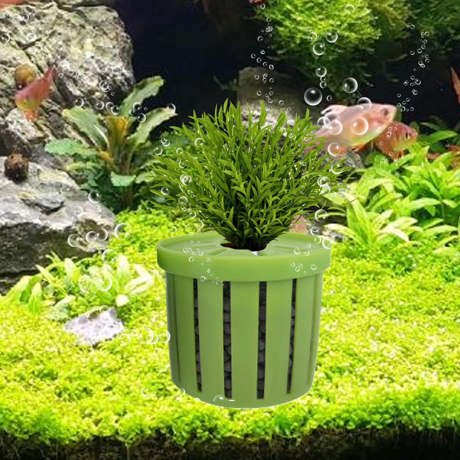 4 قطع من أواني الزراعة المائية - مراجعة Aquarium Fish Pot وسعره