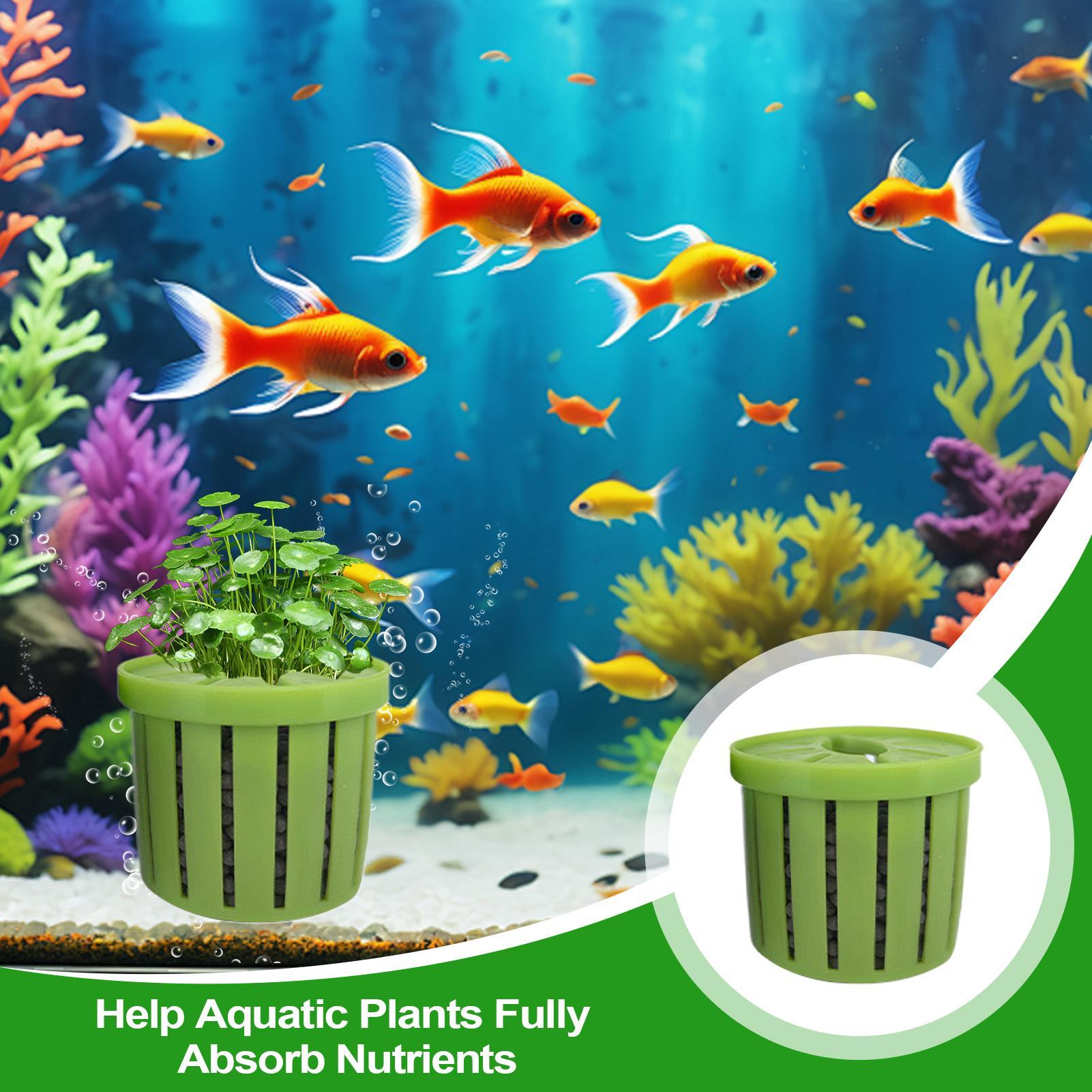 4 قطع من أواني الزراعة المائية - مراجعة Aquarium Fish Pot وسعره
