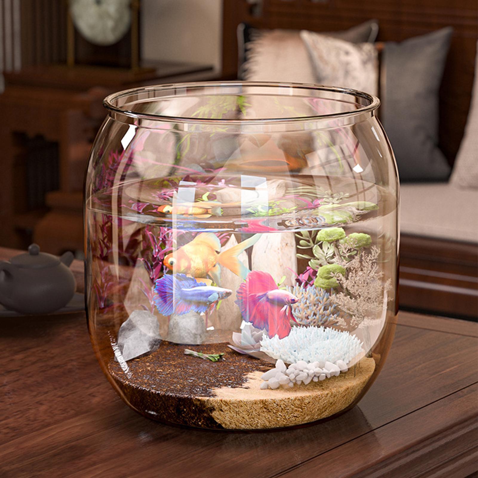 حوض سمك صغير زجاجي شفاف للزينة - مراجعة Aquarium Fish Restaurant وسعره