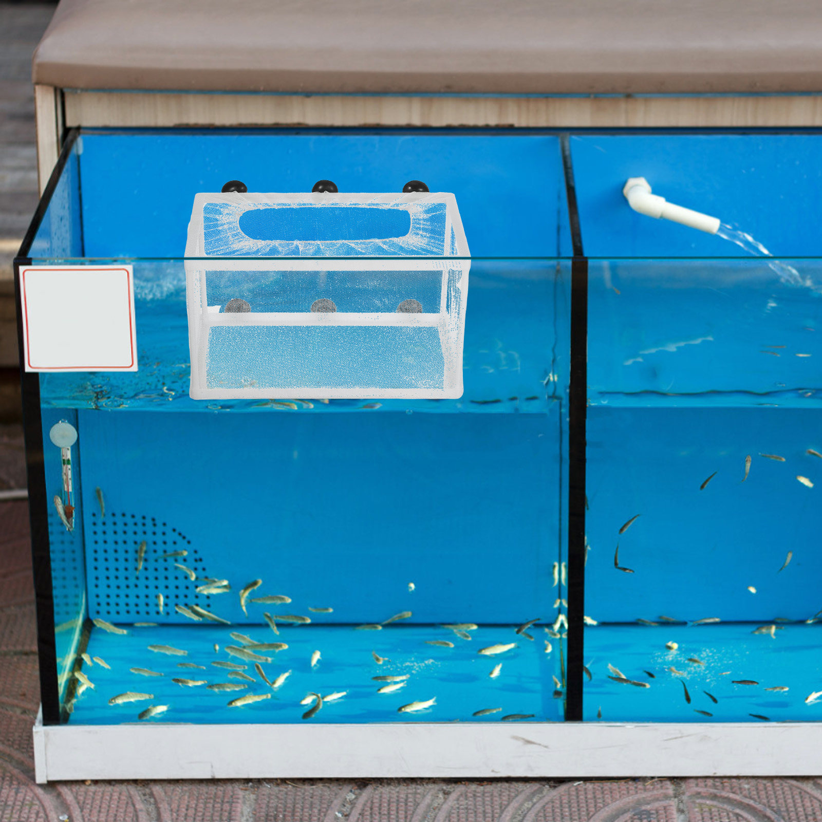 شبكة أسماك كبيرة الحجم لحوض ال - مراجعة Aquarium Fish Net Big Size وسعره