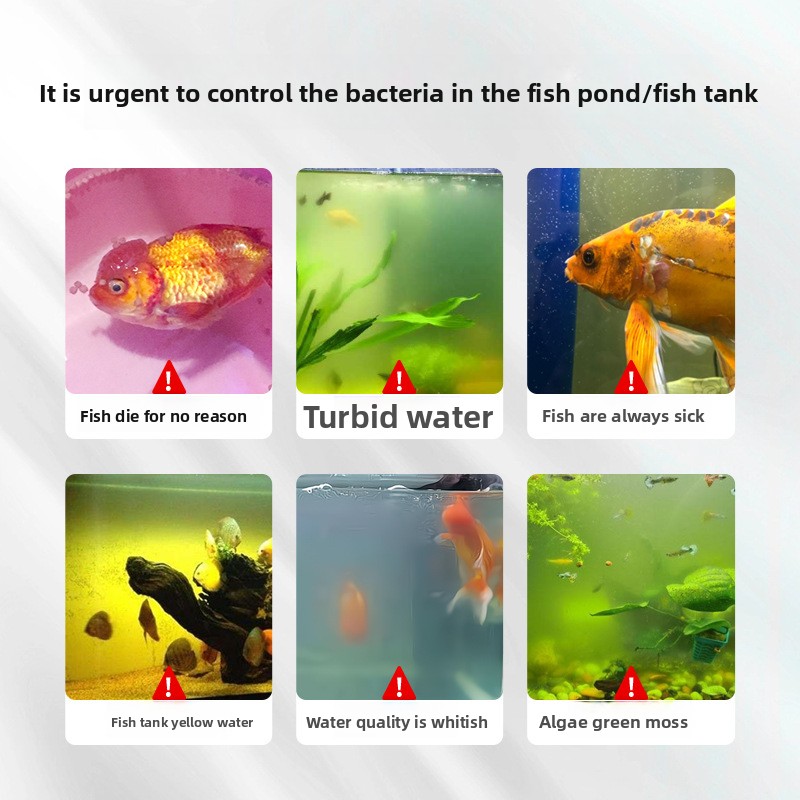 ملح حوض السمك HUACHU لأسماك ال - مراجعة Aquarium Fish Freshwater وسعره