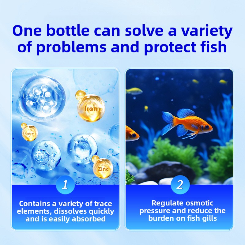 ملح حوض السمك HUACHU لأسماك ال - مراجعة Aquarium Fish Freshwater وسعره