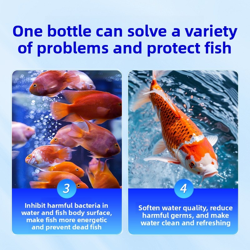 ملح حوض السمك HUACHU لأسماك ال - مراجعة Aquarium Fish Freshwater وسعره