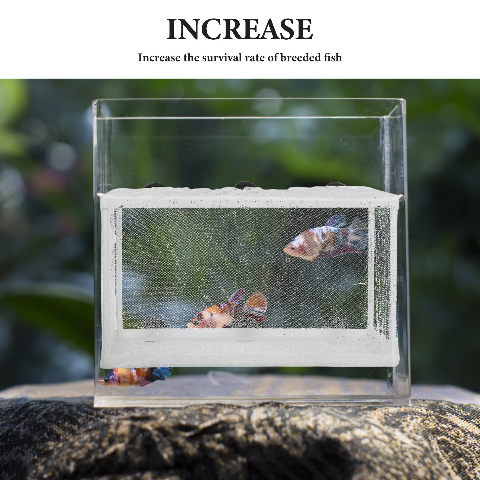 صندوق أسماك كبير الحجم بإطار ب - مراجعة Aquarium Fish Net Big Size وسعره
