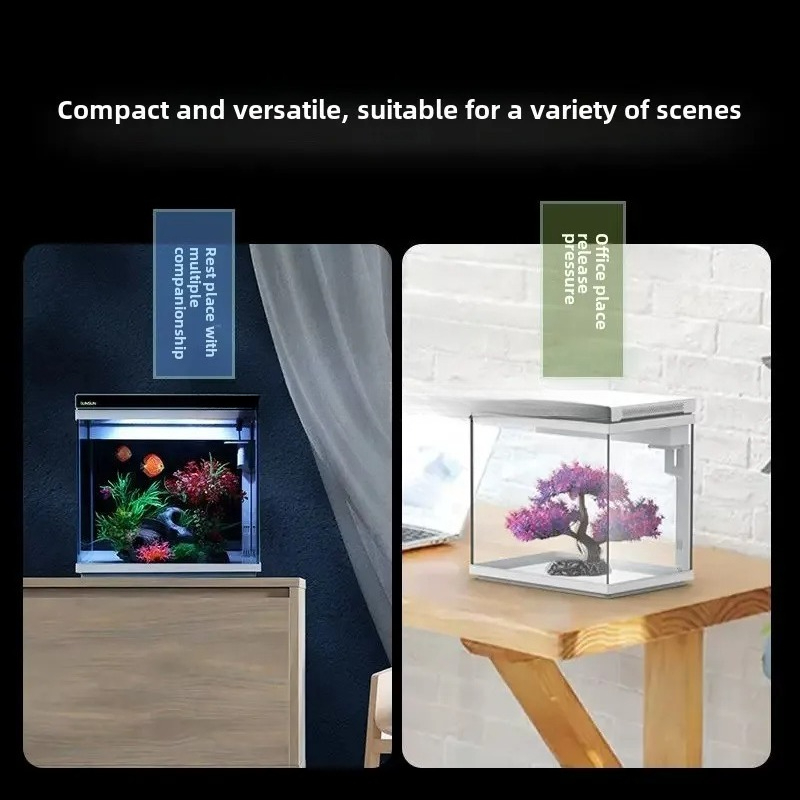 حوض أسماك صغير من الزجاج فائق  - مراجعة Aquarium Fish Without Oxygen وسعره