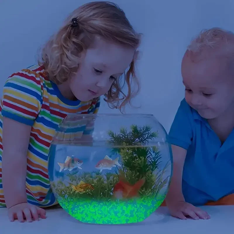 1000 قطعة 3-5 مللي متر مضيئة ا - مراجعة Aquarium Decoration Rock وسعره