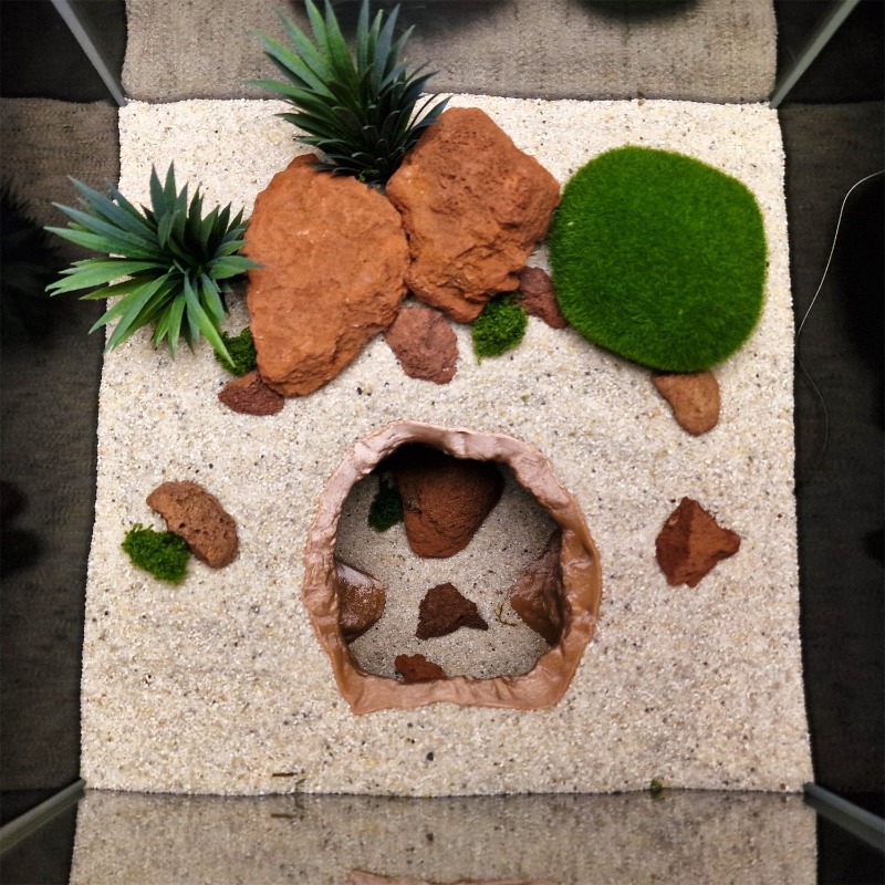 زخرفة حوض السمك على شكل كهف ثق - مراجعة Aquarium Fish Hideout وسعره
