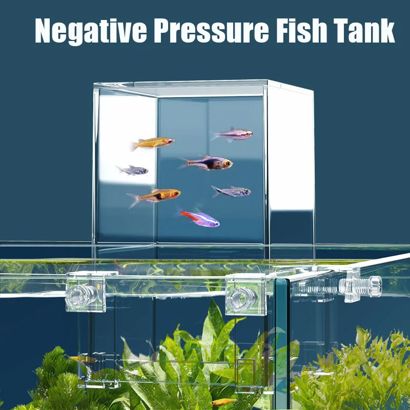 حوض السمك بالضغط السلبي للأسما - مراجعة Aquarium Fish Pot وسعره