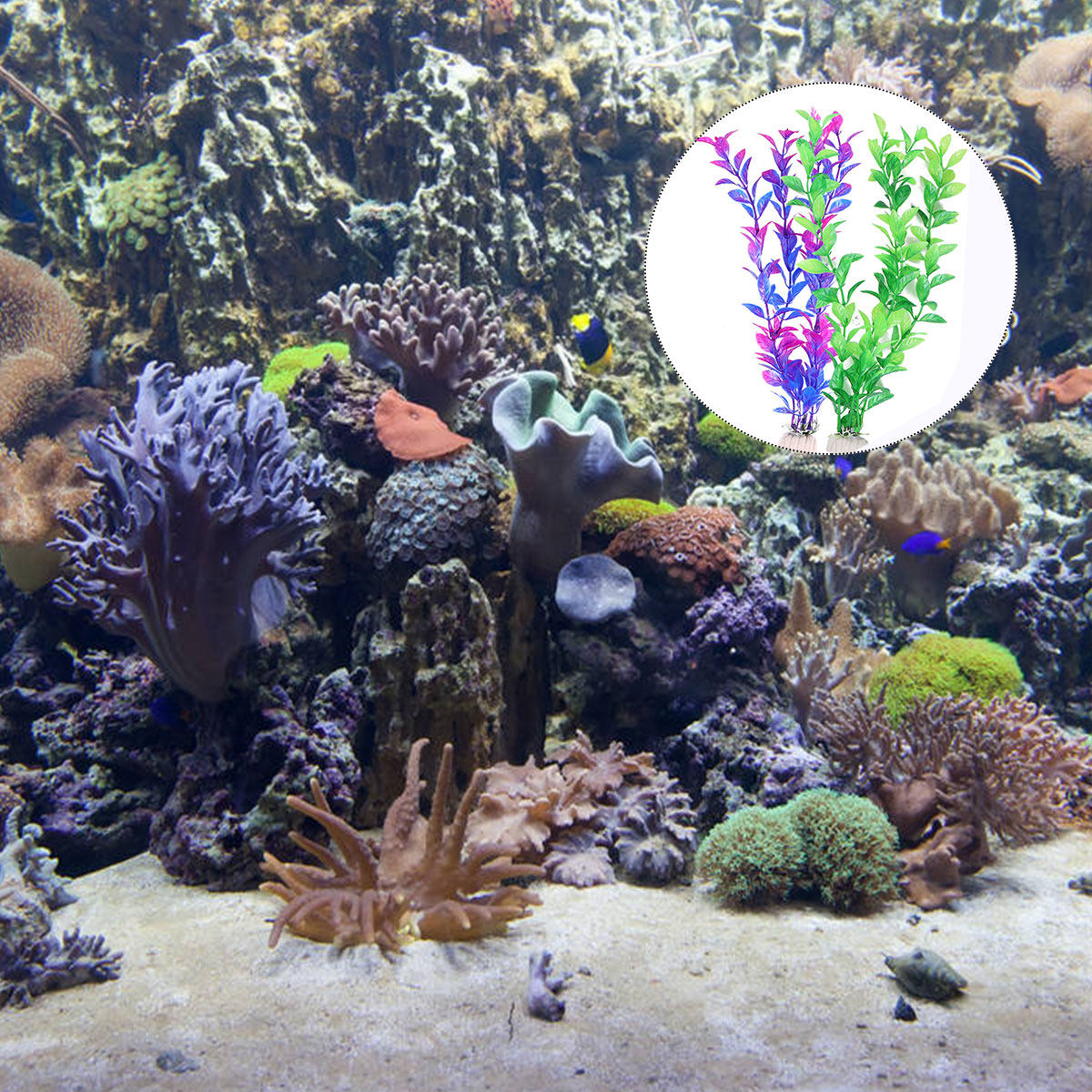 مجموعة من 10 نباتات مائية اصطن - مراجعة Aquarium Fish Restaurant وسعره