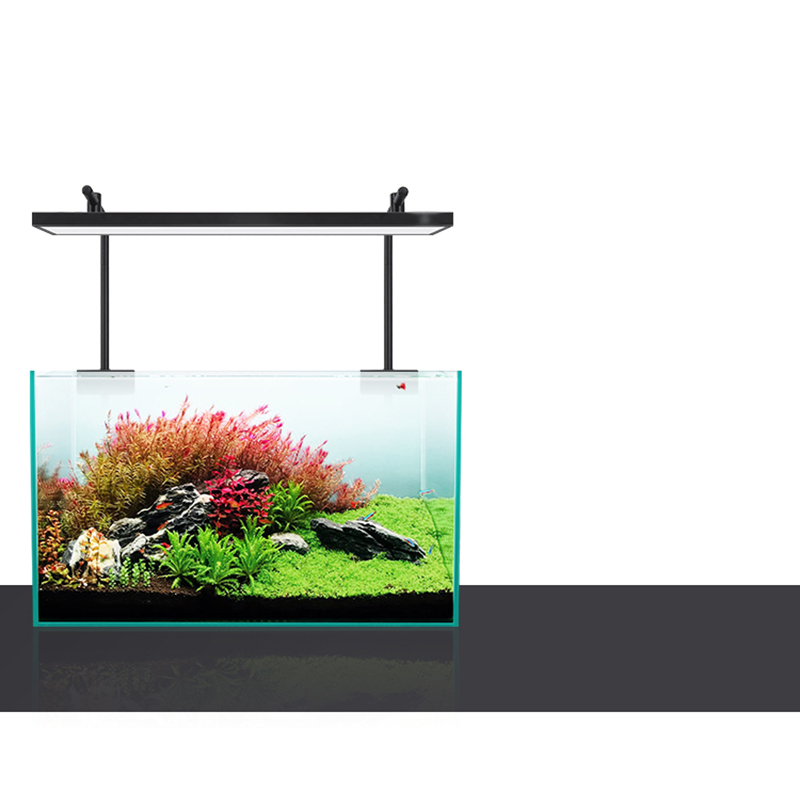 Led الإضاءة 60 سنتيمتر 80 سنتي - مراجعة Aquarium Fish For Sale وسعره