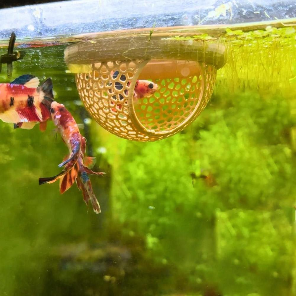 حوض السمك العائمة كهف الأسماك  - مراجعة Aquarium Fish Hideout وسعره