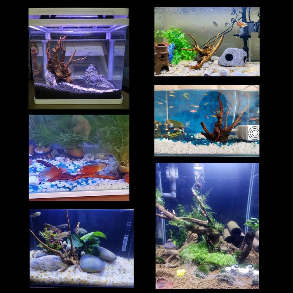 خشب عائم طبيعي كبير لحوض السمك - مراجعة Aquarium Fish Big وسعره
