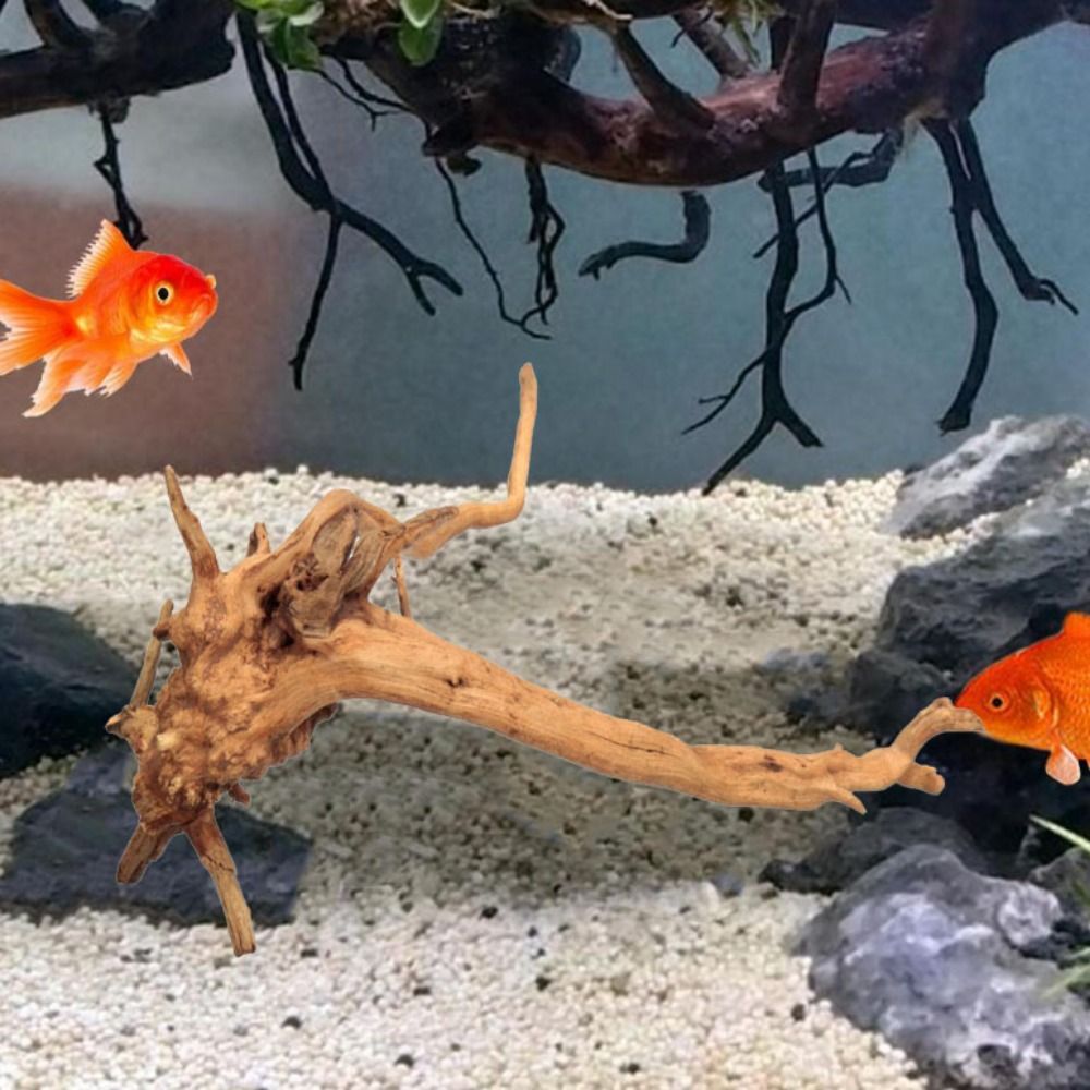 خشب عائم طبيعي كبير لحوض السمك - مراجعة Aquarium Fish Big وسعره
