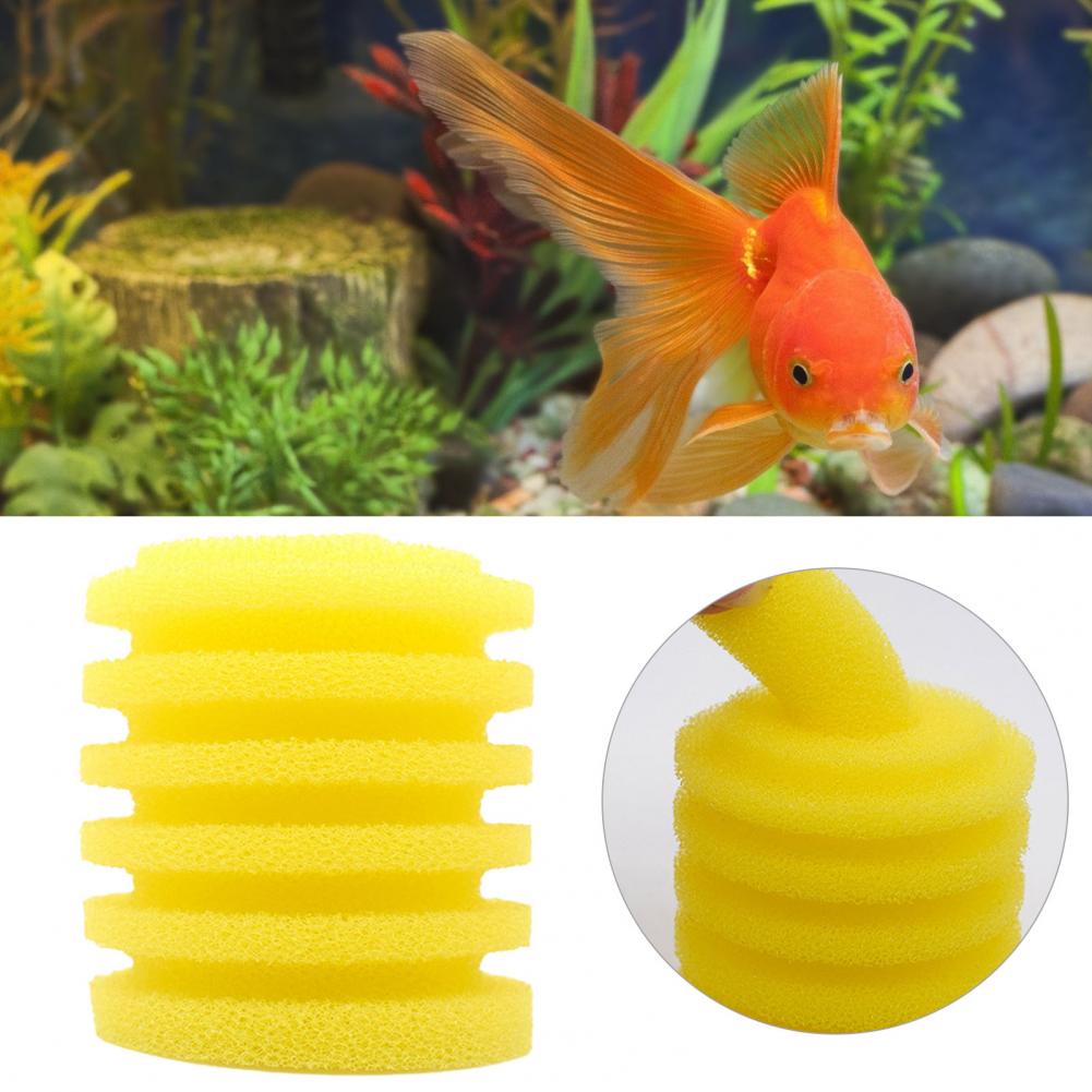 إسفنجة خزان الأسماك عالمية قاب - مراجعة Aquarium Fish Yellow وسعره