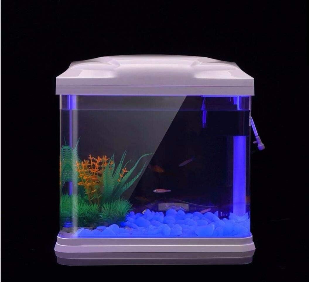 حوض السمك الصخور توهج الحصى ال - مراجعة Aquarium Fish Pot وسعره