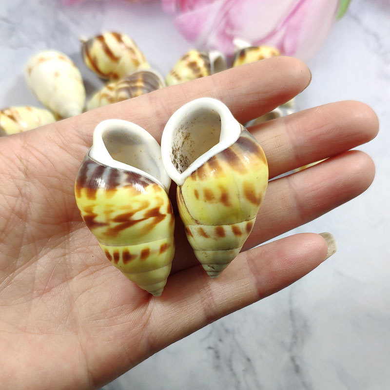 زخرفة حوض السمك ذات غلاف Troch - مراجعة Aquarium Fish Yellow وسعره