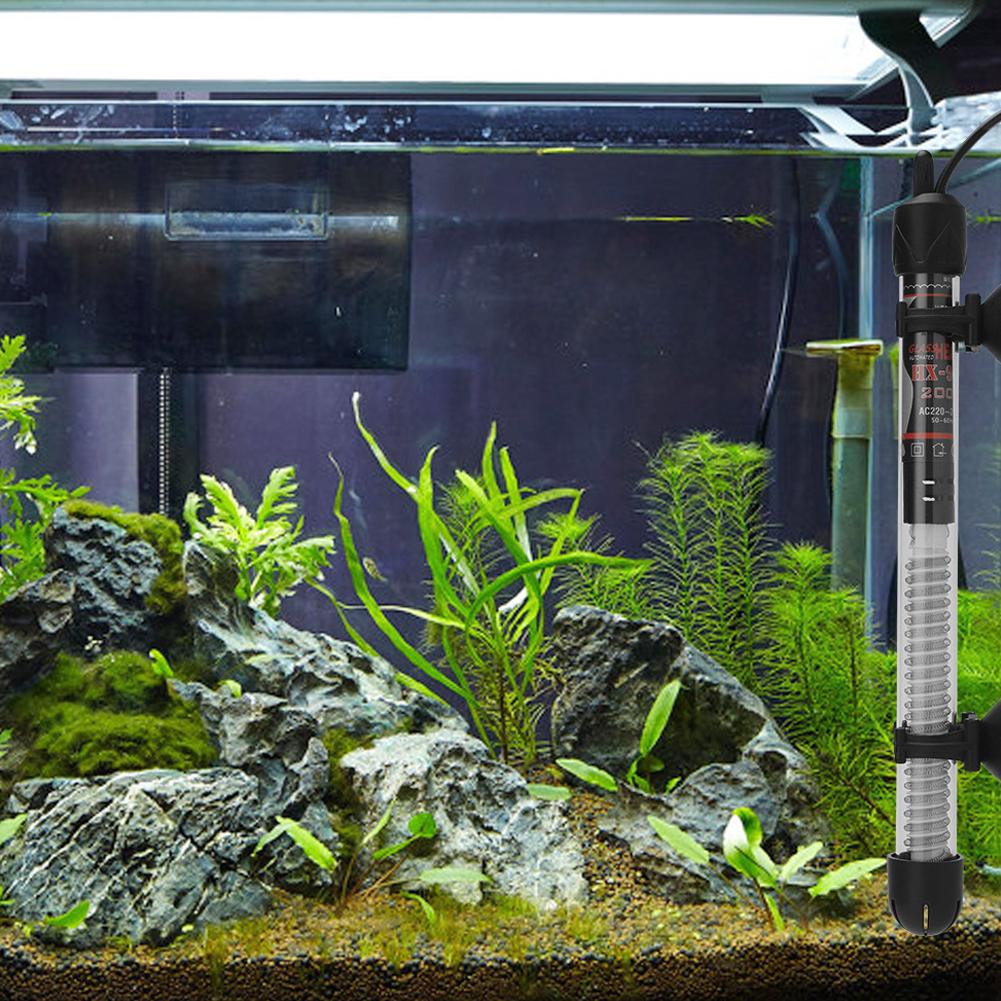 سخان حوض أسماك قابل للتعديل 25 - مراجعة Aquarium Heater Submersible وسعره