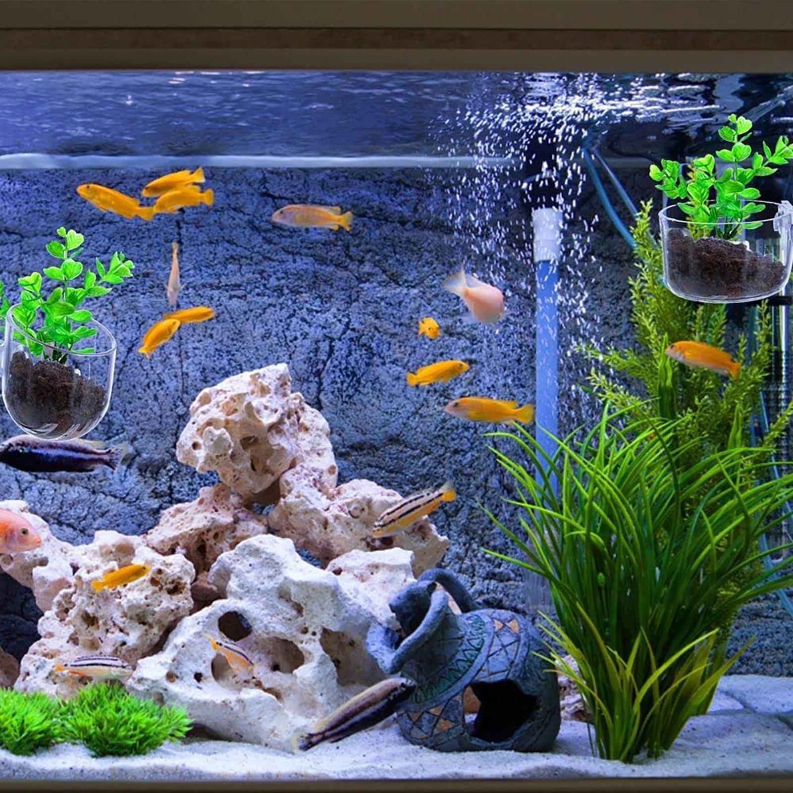 وعاء النباتات المائية زارع حوض - مراجعة Aquarium Fish Pot وسعره