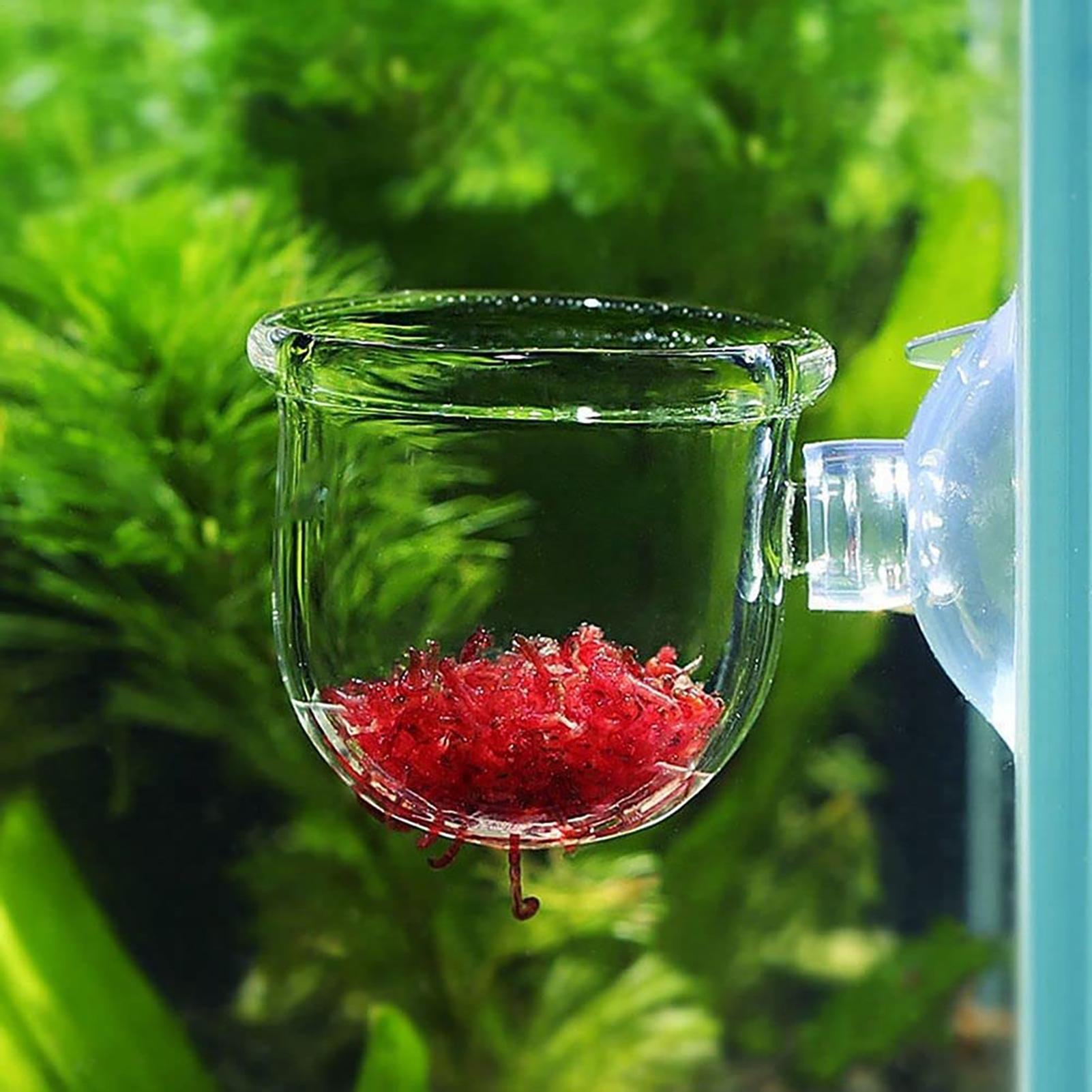 وعاء النباتات المائية زارع حوض - مراجعة Aquarium Fish Pot وسعره