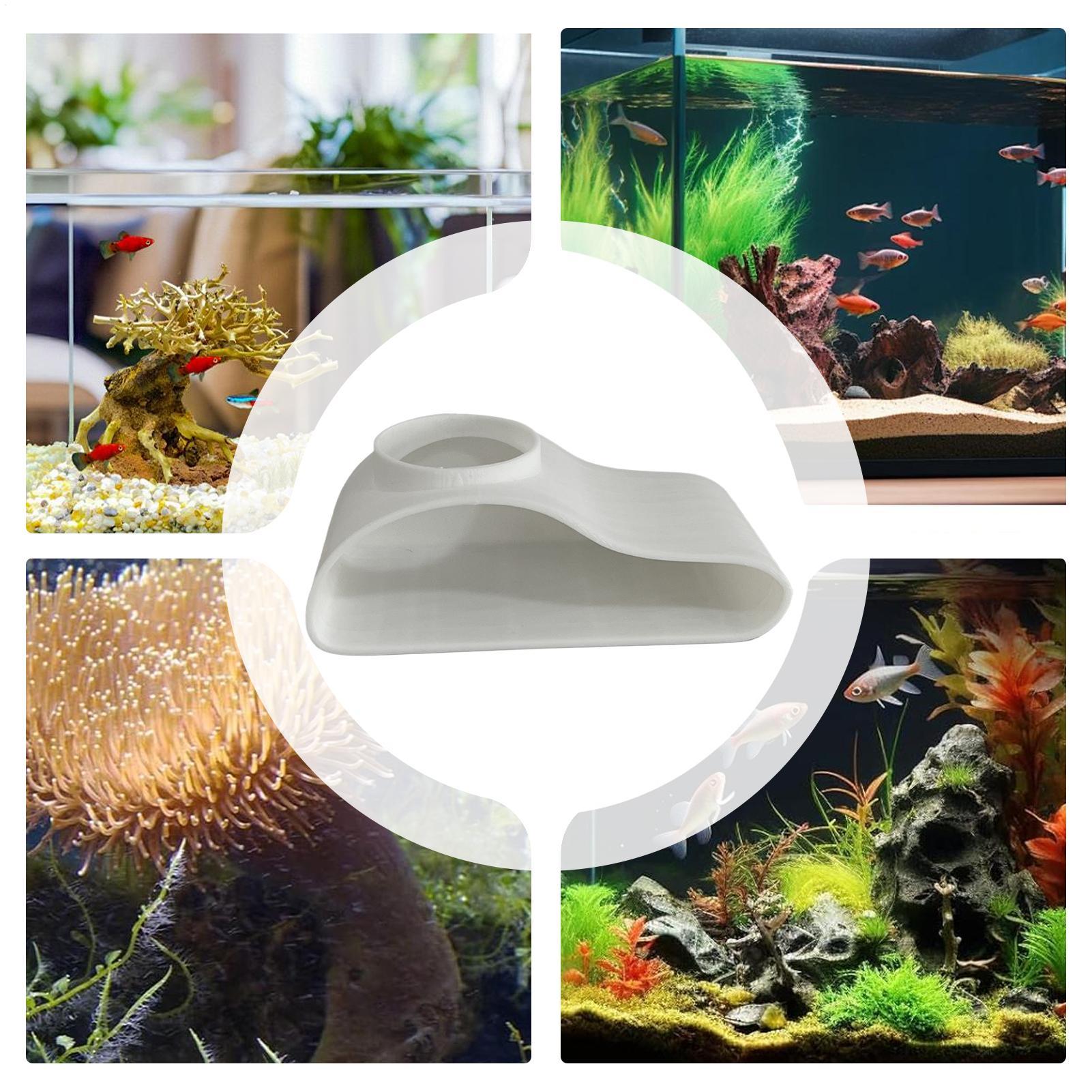حوض السمك تحت الأرض نفق كهف خز - مراجعة Aquarium Fish Restaurant وسعره