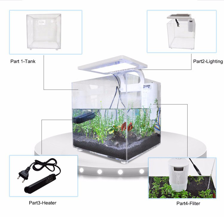 حوض سمك مارينا صغير من الأكريل - مراجعة Aquarium Fish For Sale وسعره