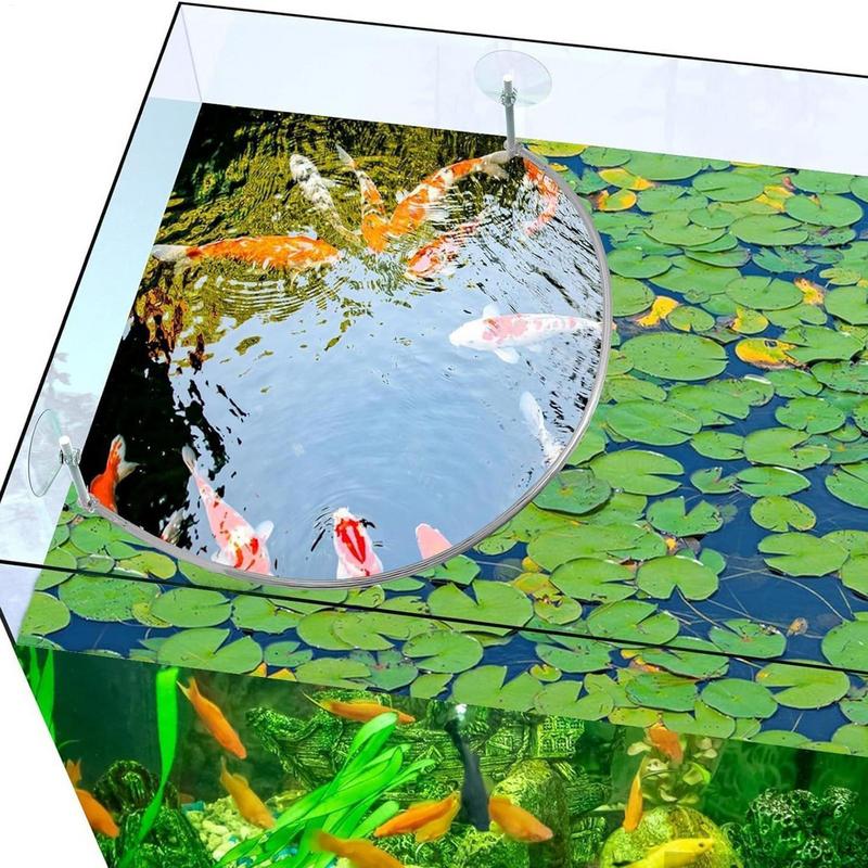 حلقة تغذية الأسماك المرجانية ل - مراجعة Aquarium Fish Quality وسعره