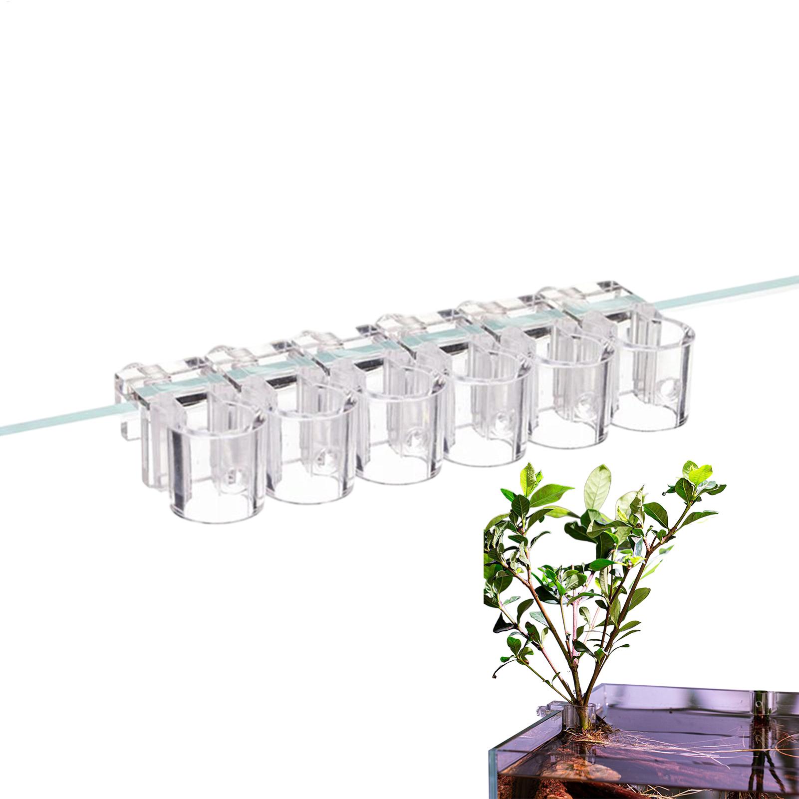 سلة نباتات للأحواض المائية، وع - مراجعة Aquarium Fish Pot وسعره