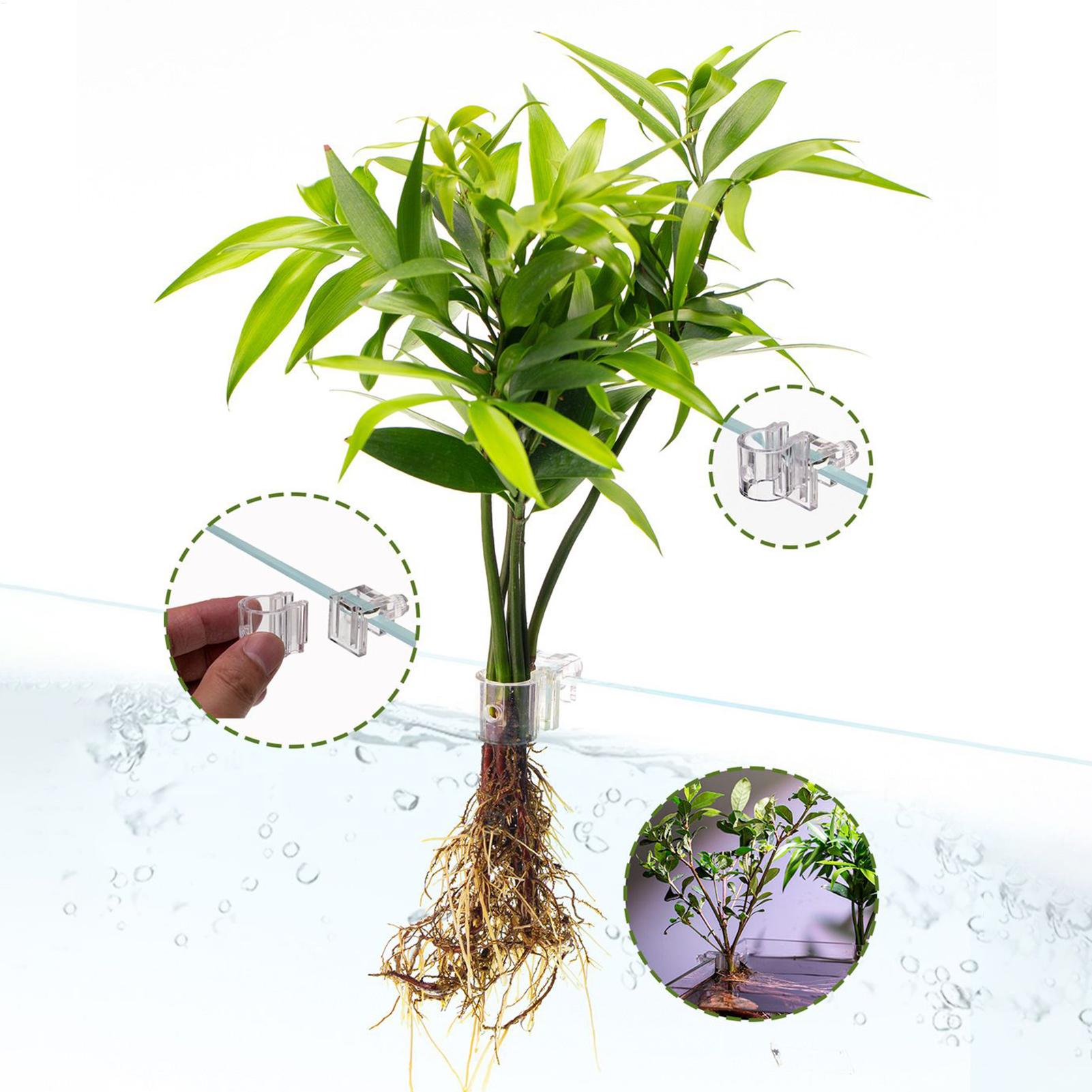 سلة نباتات للأحواض المائية، وع - مراجعة Aquarium Fish Pot وسعره