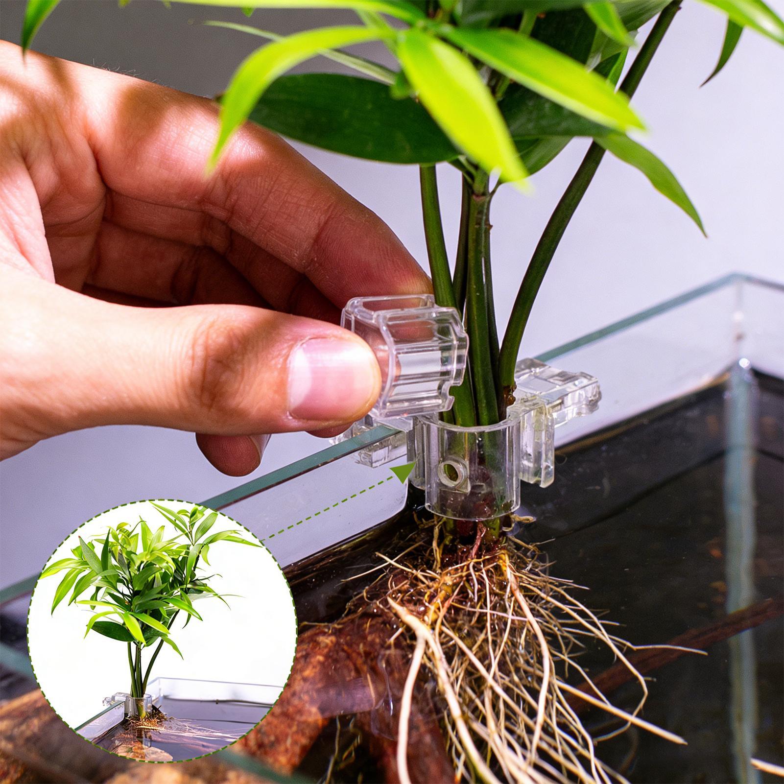 سلة نباتات للأحواض المائية، وع - مراجعة Aquarium Fish Pot وسعره
