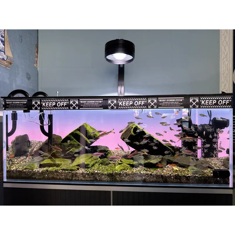 خلفية حوض السمك من الأكريليك ب - مراجعة Aquarium Fish Colour وسعره