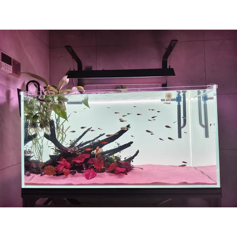 خلفية حوض السمك من الأكريليك ب - مراجعة Aquarium Fish Colour وسعره