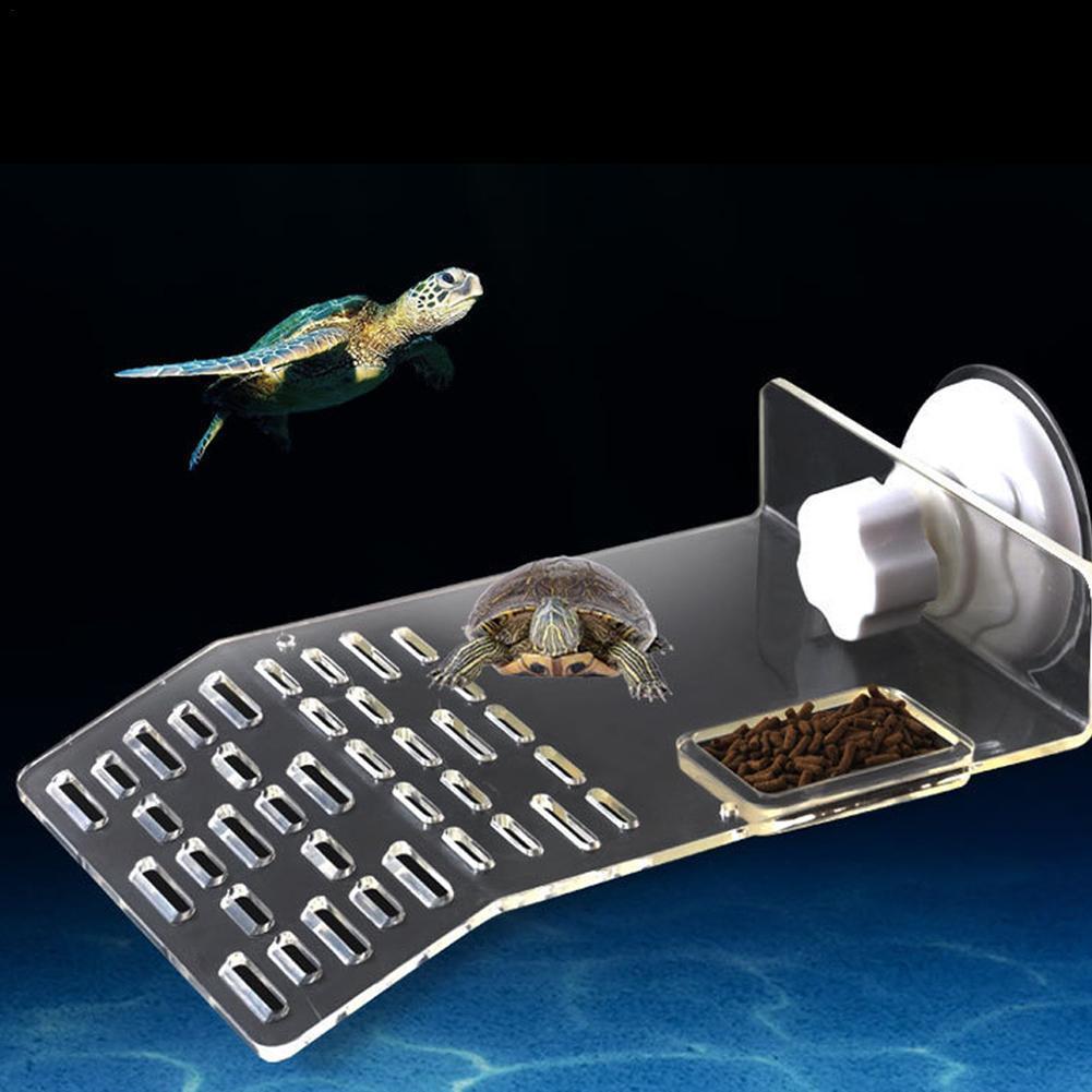 سلحفاة الرصيف قفص الاتهام الفر - مراجعة Aquarium Fishland وسعره