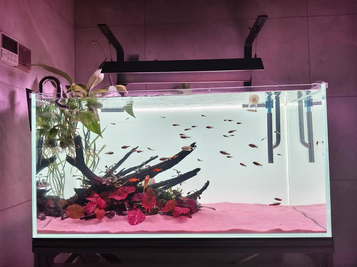 RGB الاكريليك خزان الأسماك خلف - مراجعة Aquarium Fish Colour وسعره