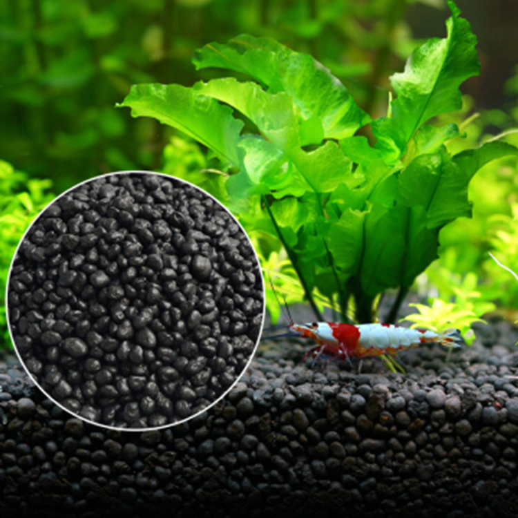 نباتات أحواض السمك ، التربة ،  - مراجعة Aquarium Fish Freshwater وسعره
