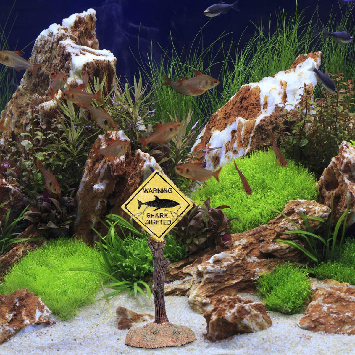 علامة تحذير من الراتنج على شكل - مراجعة Aquarium Fish Yellow وسعره