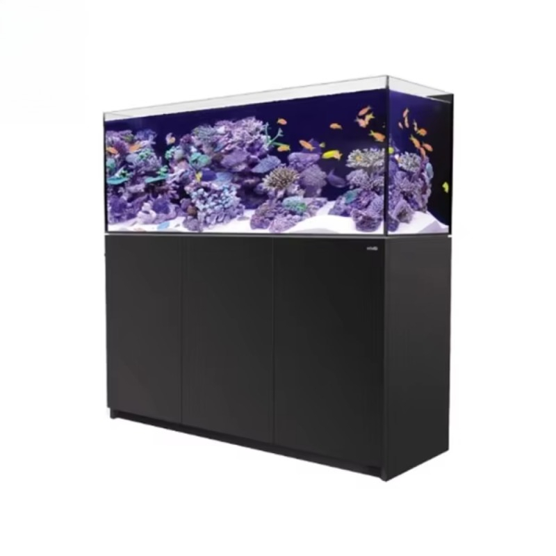 حوض أسماك زجاجي فاخر وعصري مبر - مراجعة Aquarium Fish Restaurant وسعره