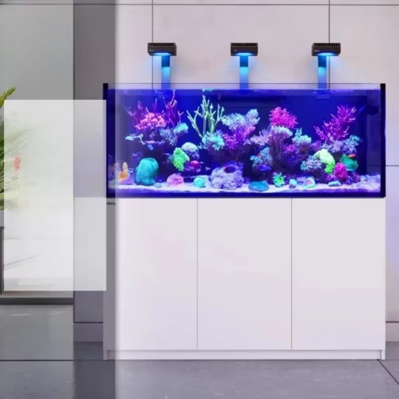 حوض أسماك زجاجي فاخر وعصري مبر - مراجعة Aquarium Fish Restaurant وسعره