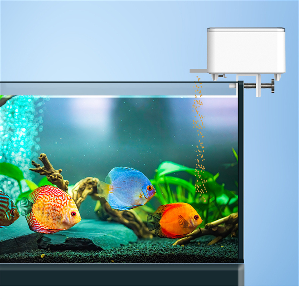 واي فاي الذكية التلقائي المغذي - مراجعة Aquarium Fish Big وسعره
