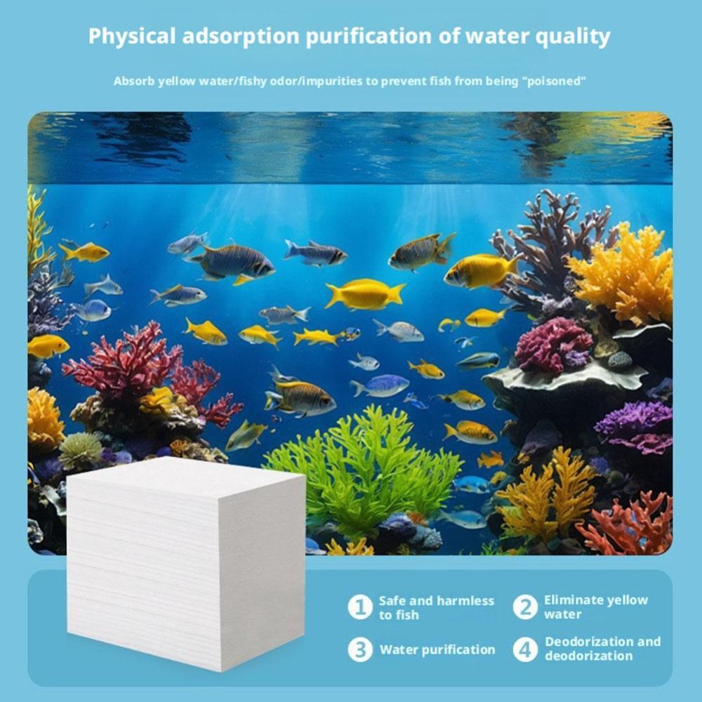 100 قطعة من صفائح تنقية مياه ح - مراجعة Aquarium Fish Yellow وسعره