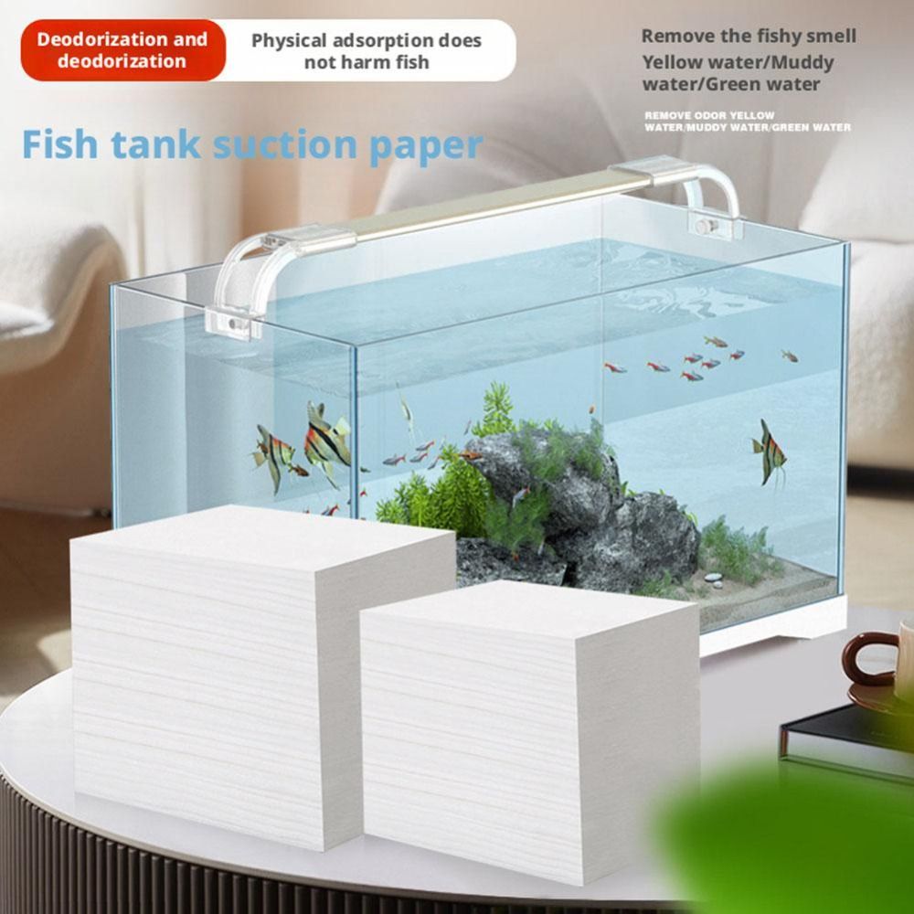 100 قطعة من صفائح تنقية مياه ح - مراجعة Aquarium Fish Yellow وسعره