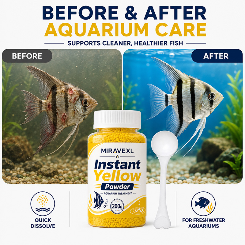 مسحوق ميراڤيكس إل سريع الذوبان - مراجعة Aquarium Fish Yellow وسعره