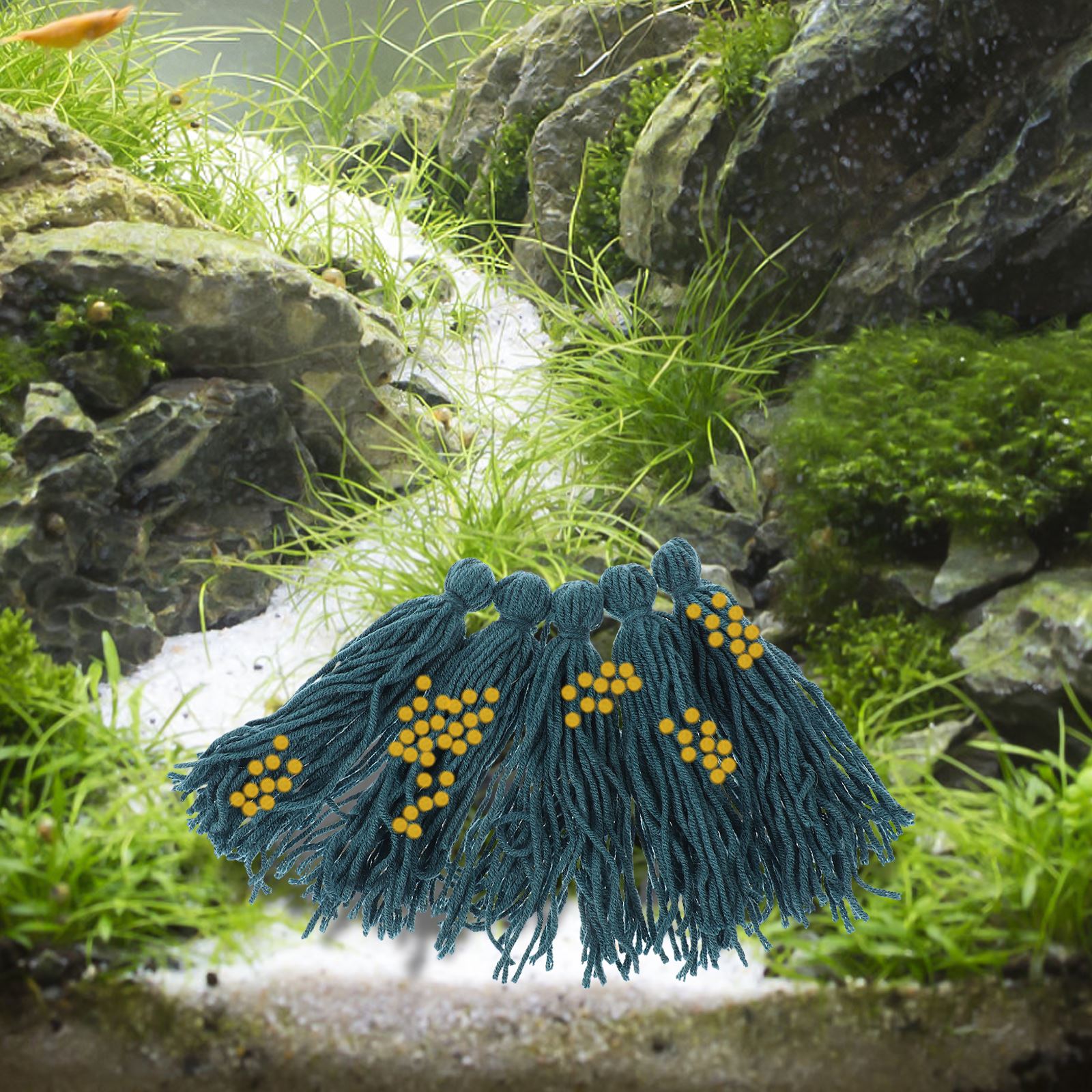 5 قطعة ممسحة التفريخ التفريخ م - مراجعة Aquarium Fish Hideout وسعره