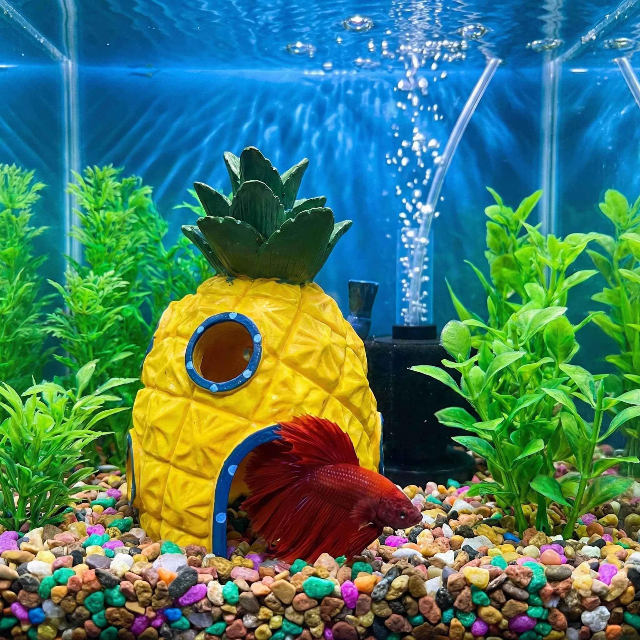 ديكور حوض السمك على شكل بيت ال - مراجعة Aquarium Fish Hideout وسعره