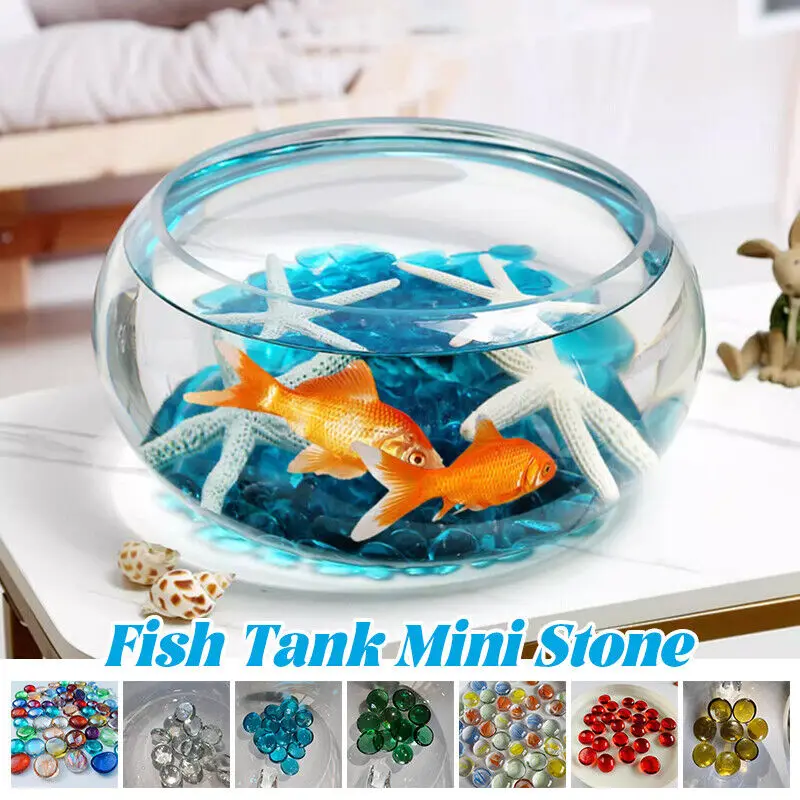 أحجار كريستال كوارتز شفافة مست - مراجعة Aquarium Fish Colour وسعره