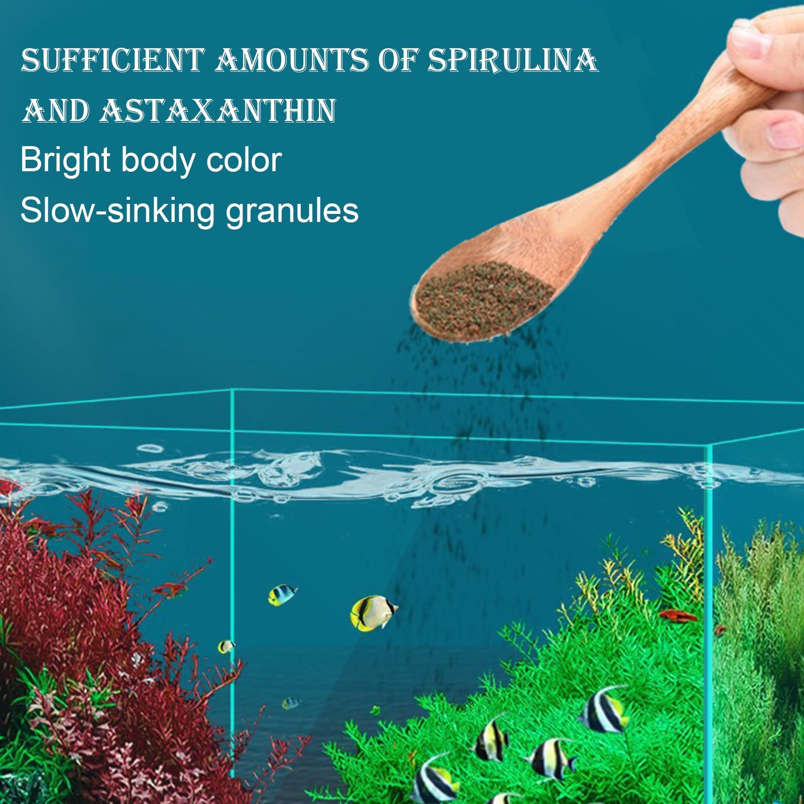 طعام أسماك البيتا، طعام أسماك  - مراجعة Aquarium Fish Restaurant وسعره