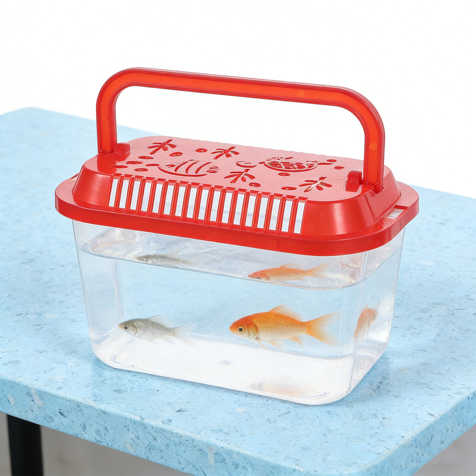 5 قطع من حاويات نقل الأسماك ال - مراجعة Aquarium Mini Fish وسعره