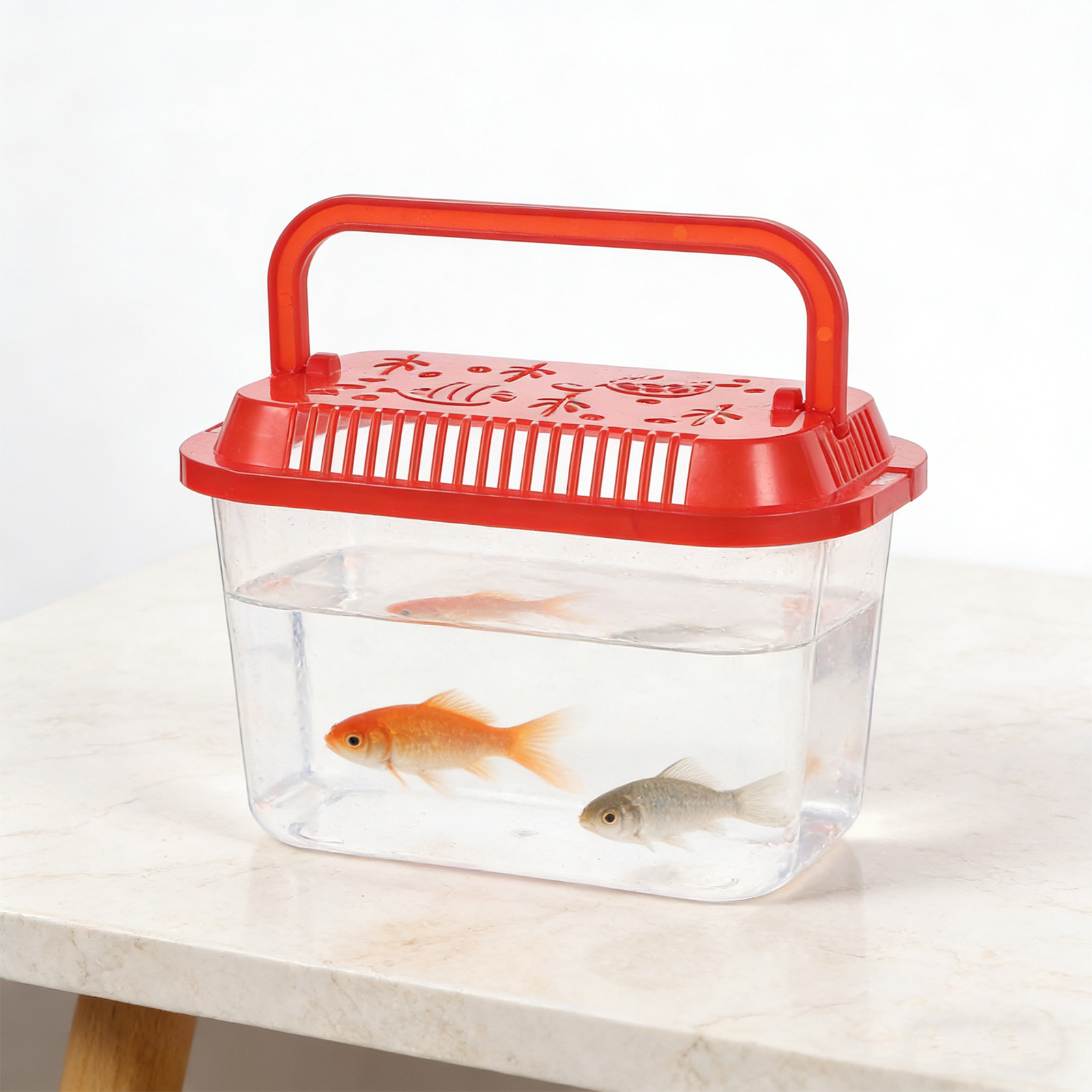 5 قطع من حاويات نقل الأسماك ال - مراجعة Aquarium Mini Fish وسعره