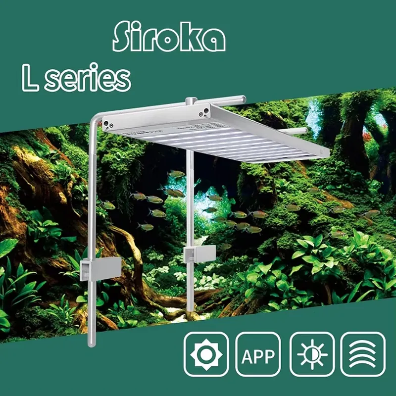 مصباح LED قابل للتعتيم بقوة 55 - مراجعة Aquarium Fish For Sale وسعره